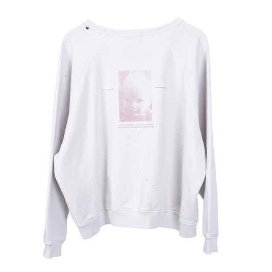 ERD INCANDESCENT RAGLAN CREWNECK