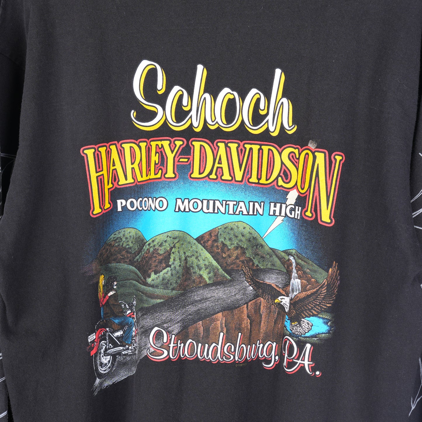 VINTAGE HARLEY DAVIDSON SPIDER LONG SLEEVE T-SHIRT