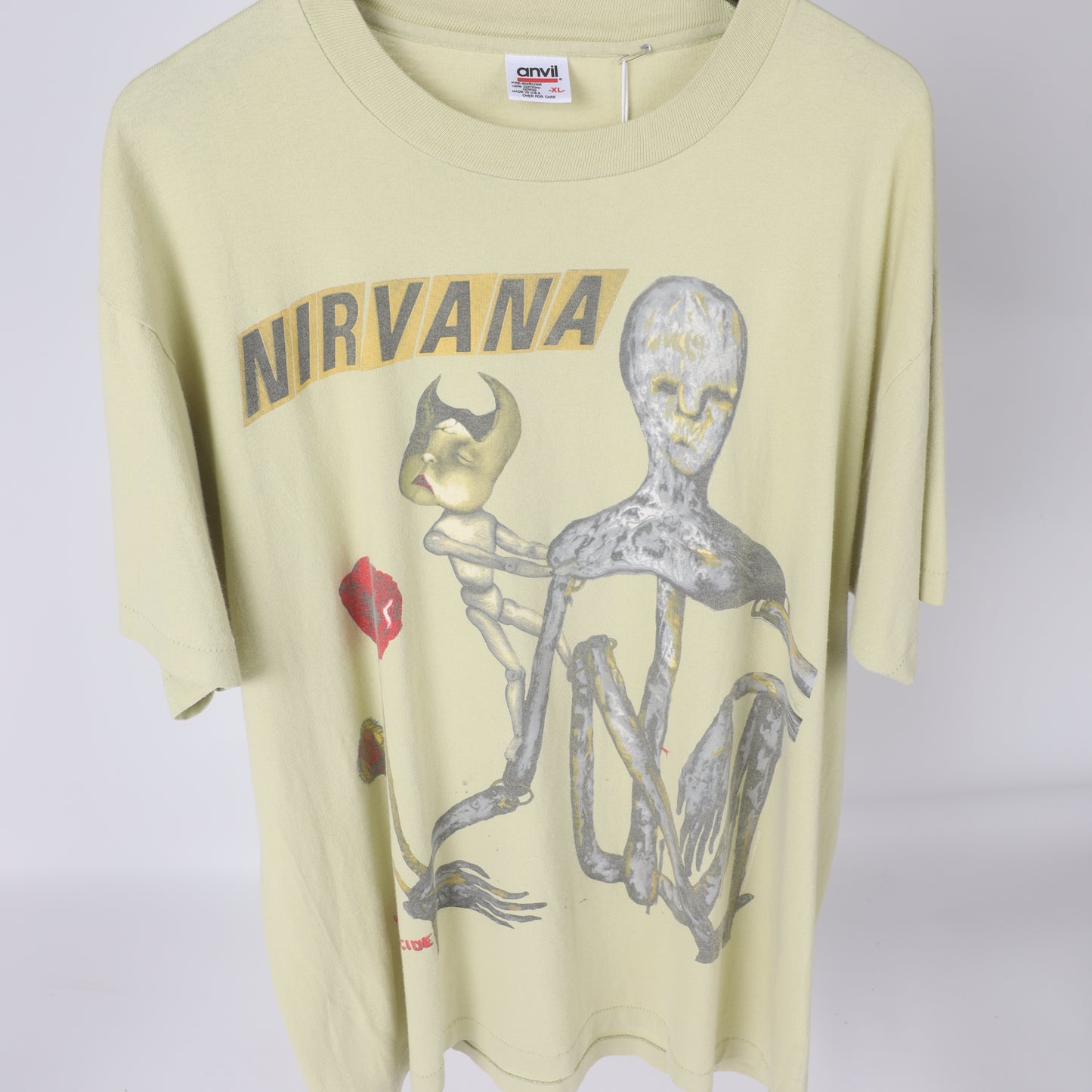 NIRVANA INCESTICIDE