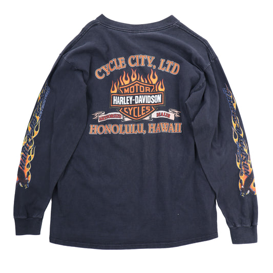 Harley Davidson Eagle LS Hawaii