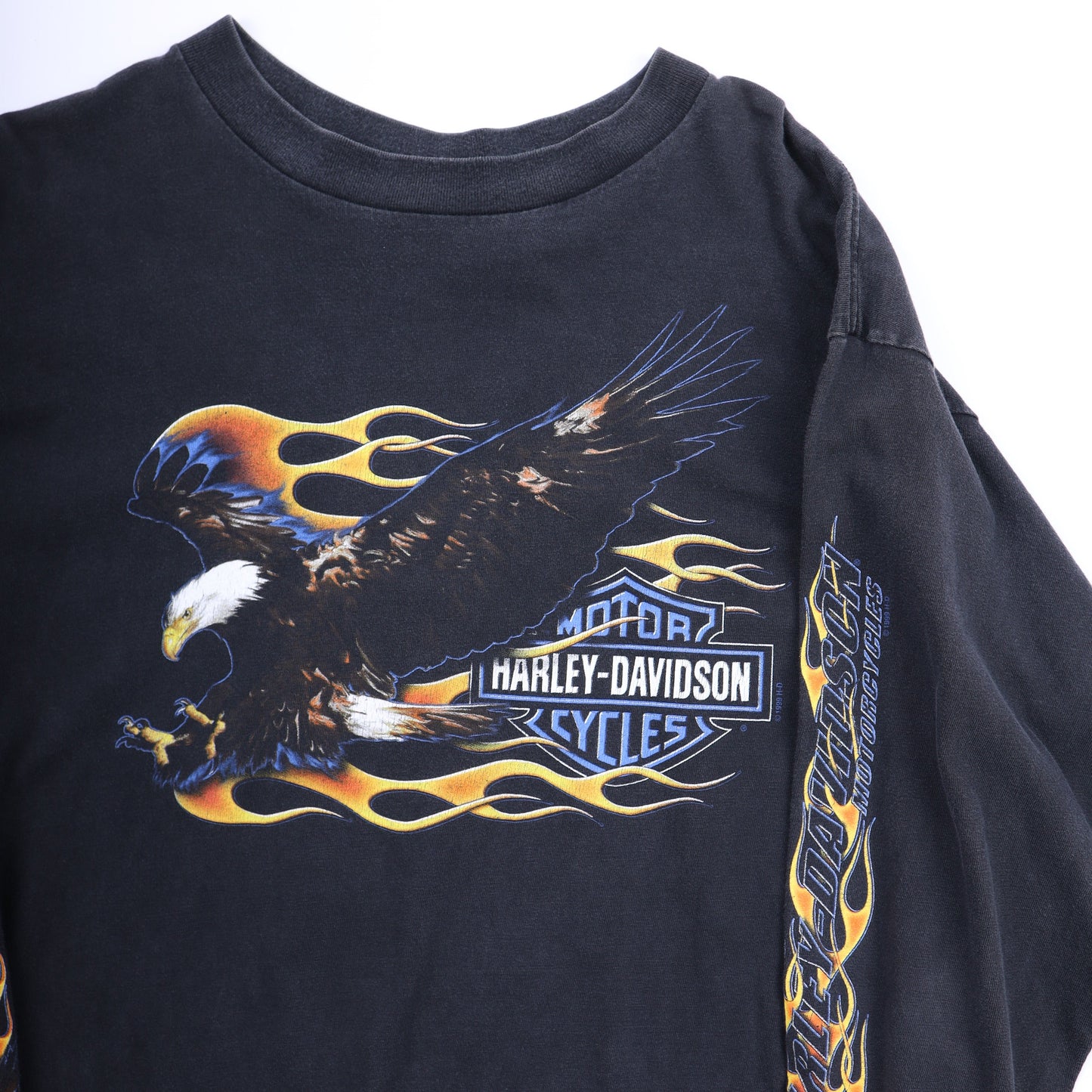 Harley Davidson Eagle LS Hawaii
