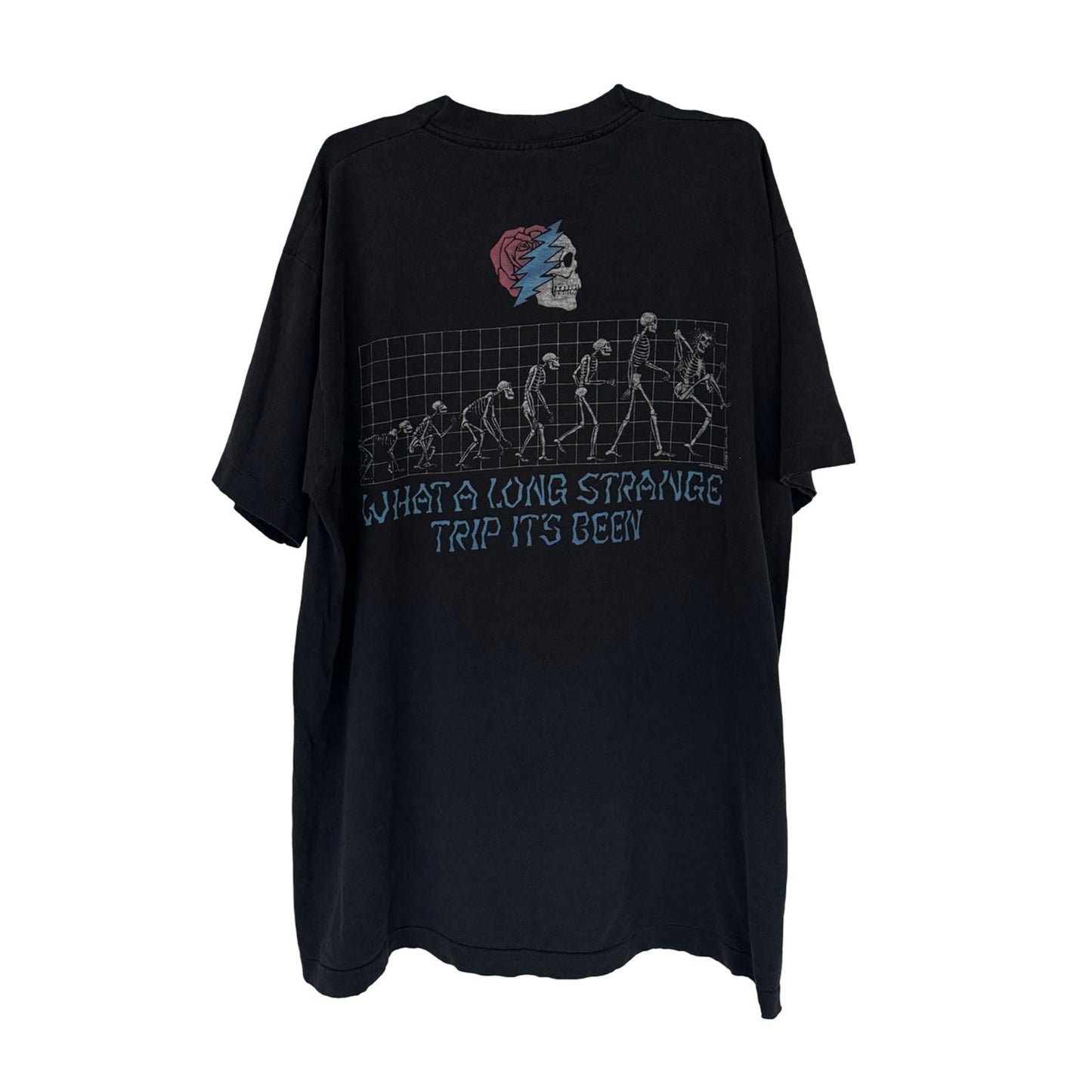 Grateful Dead Strange Trip 1993