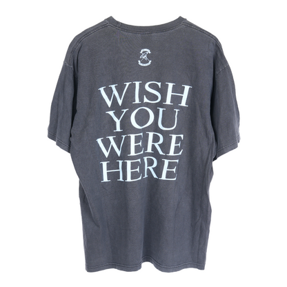 VINTAGE PINK FLOYD WISH YOU WERE HERE TEE
