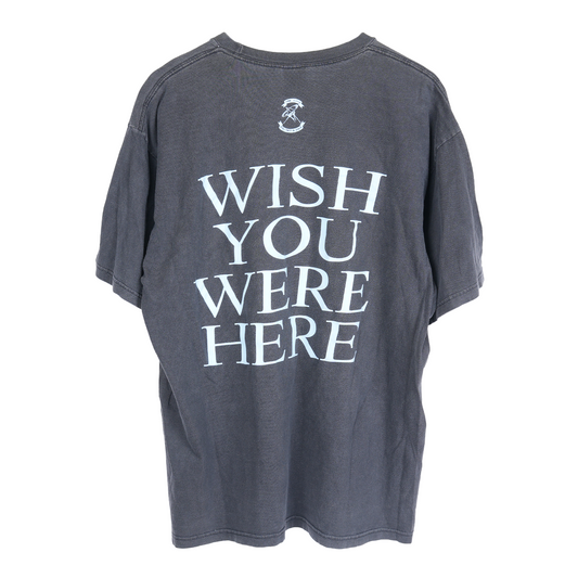 VINTAGE PINK FLOYD WISH YOU WERE HERE TEE