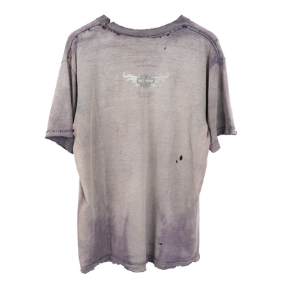 FADED HARLEY DAVIDSON LIGHTNING TEE