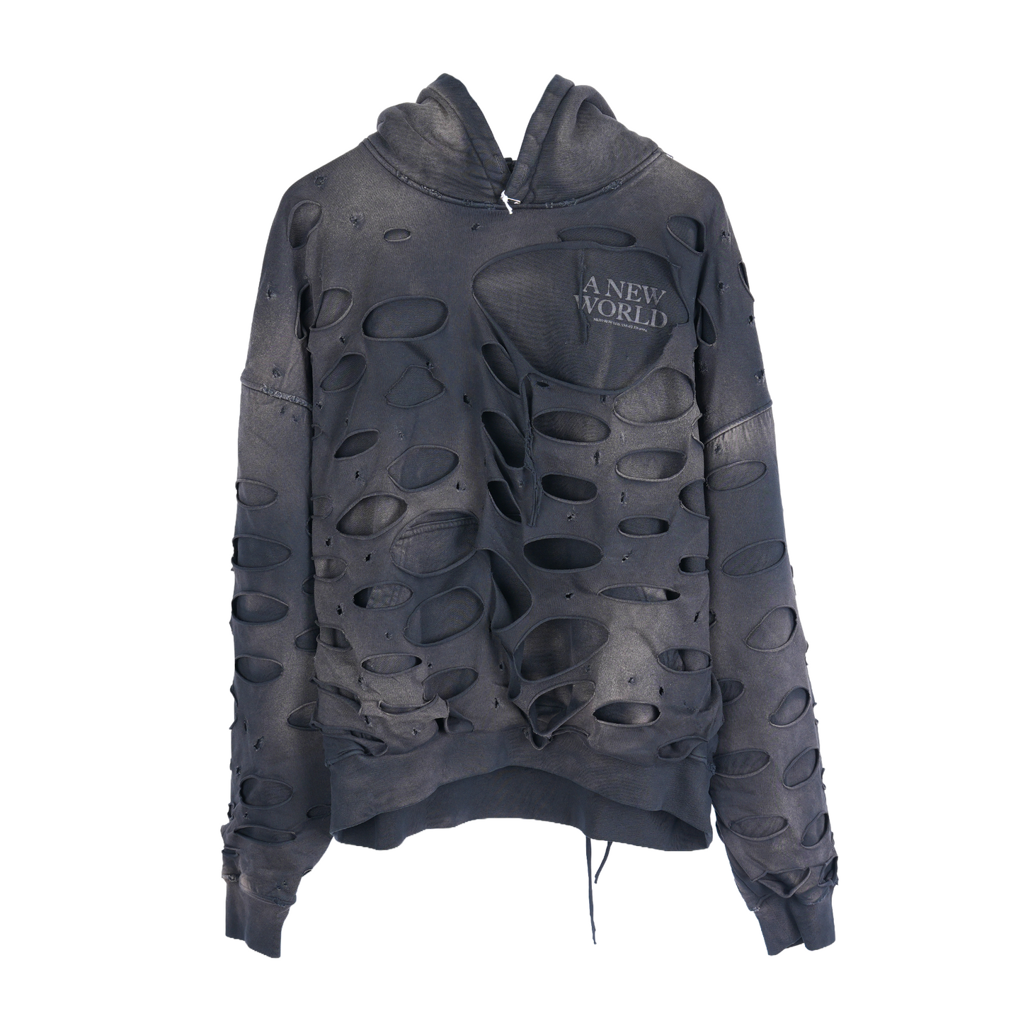 ALEXANDER DIGENOVA A NEW WORLD HOODIE