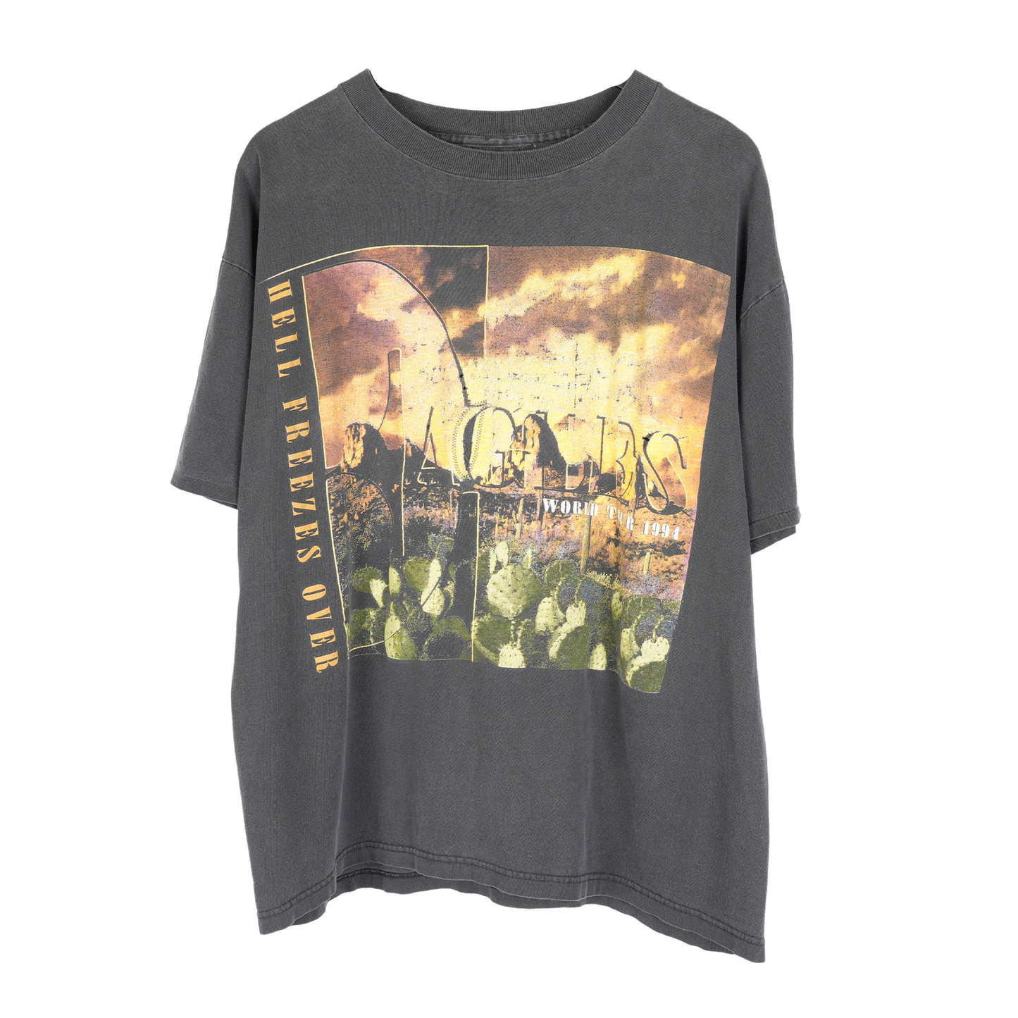 VINTAGE EAGLES 'HELL FREEZES OVER' 1994 TOUR TEE