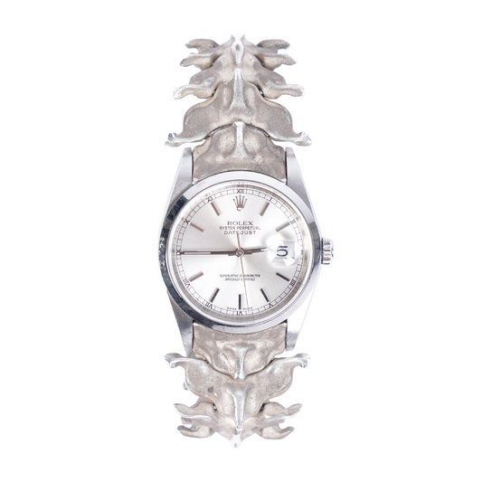 ABALLE: Horologium Spinale