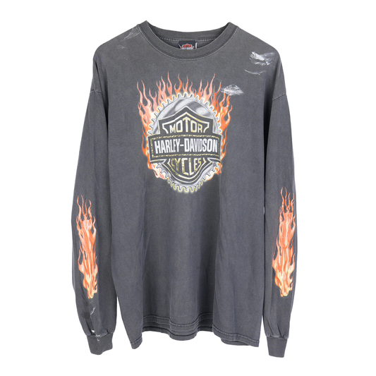 HARLEY DAVIDSON FLAME LONG SLEEVE T-SHIRT