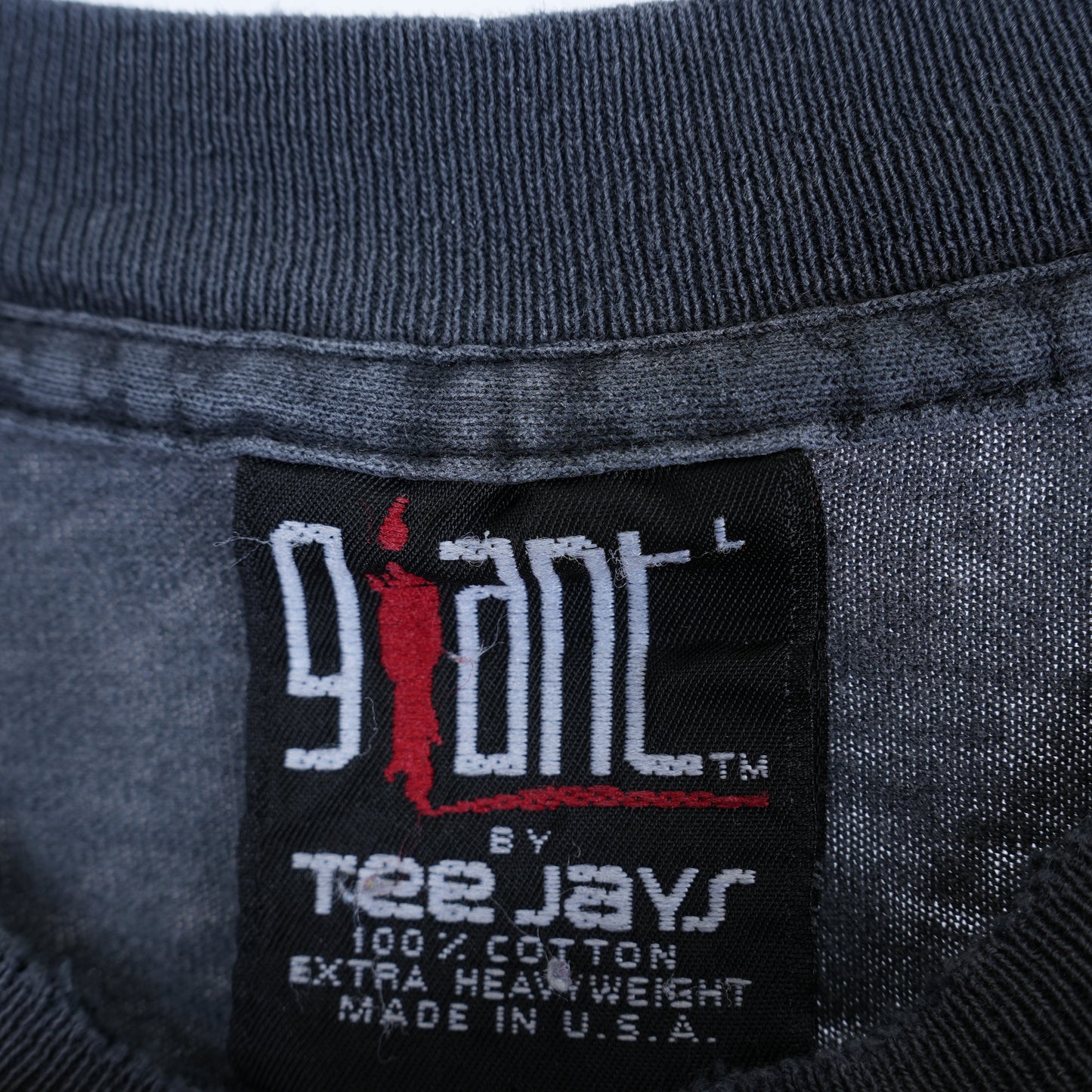 THE EAGLES 95-96 HELL FREEZES OVER T-SHIRT