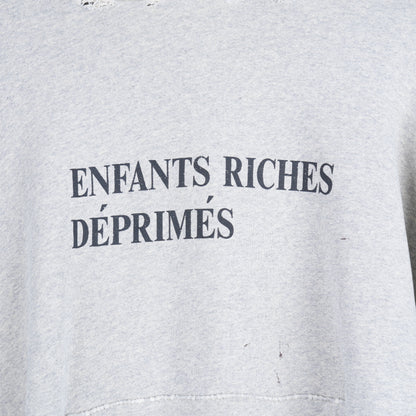 ERD Grey logo hoodie