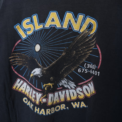 HARLEY DAVIDSON FADED BLUE FLAME LONG SLEEVE T-SHIRT