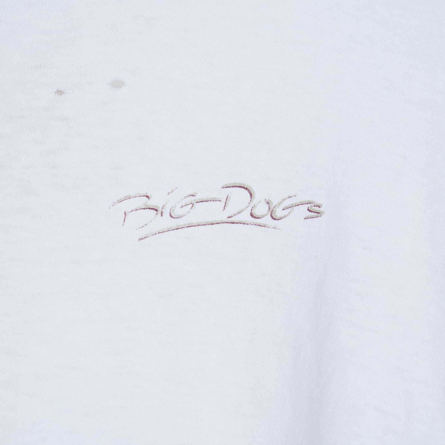 VINTAGE BIG DOGS TEE