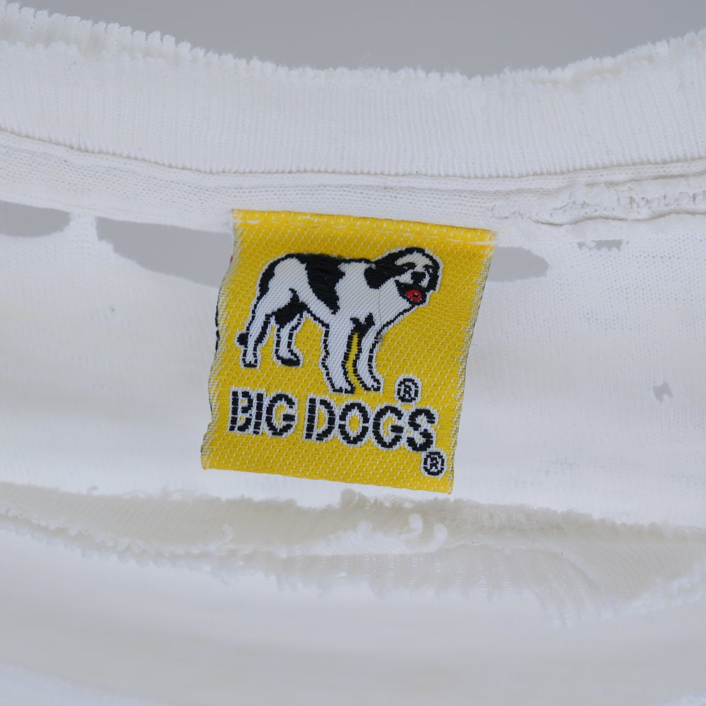 VINTAGE BIG DOGS TEE