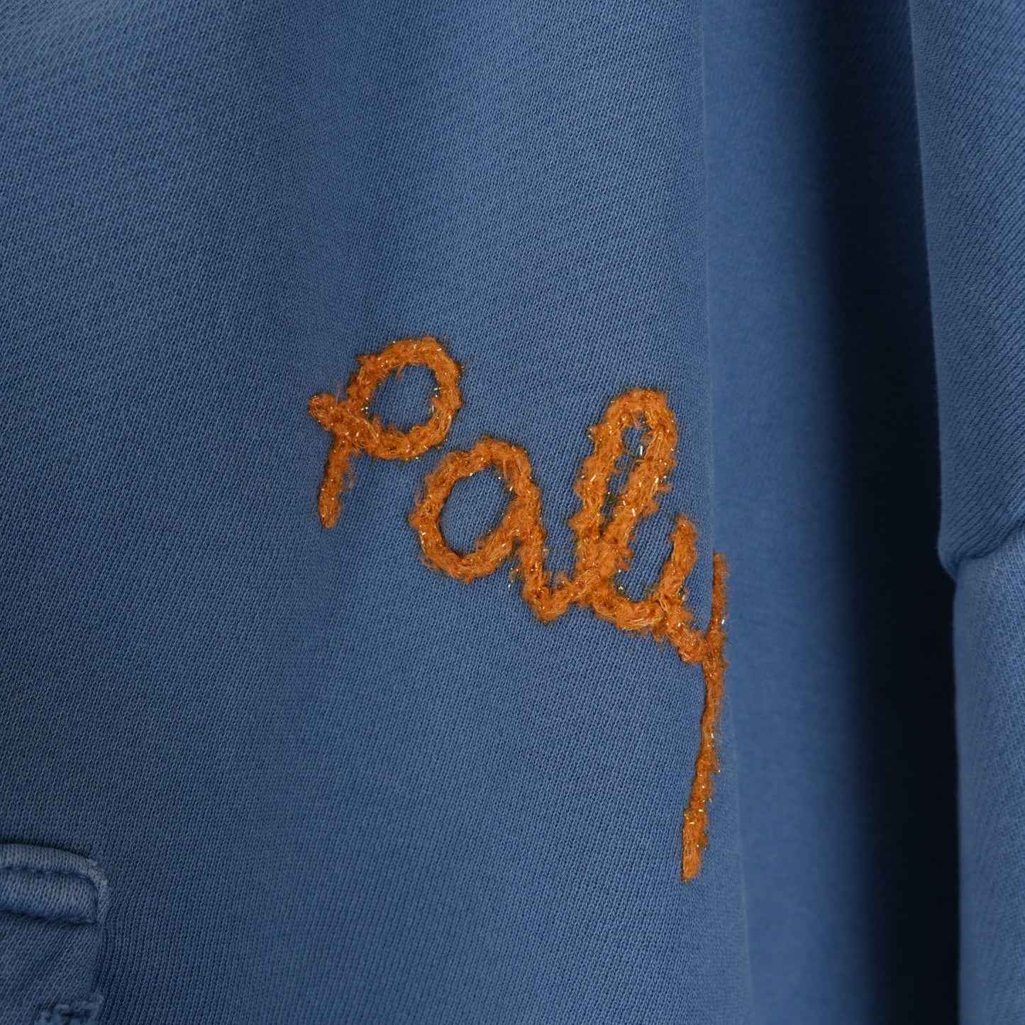 PALY HOLLYWOOD BLUE LOGO HOODIE