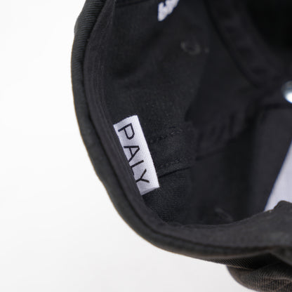 PALY HOLLYWOOD AGONY AND ECSTASY OF LNDSY LOHAN TRUCKER HAT
