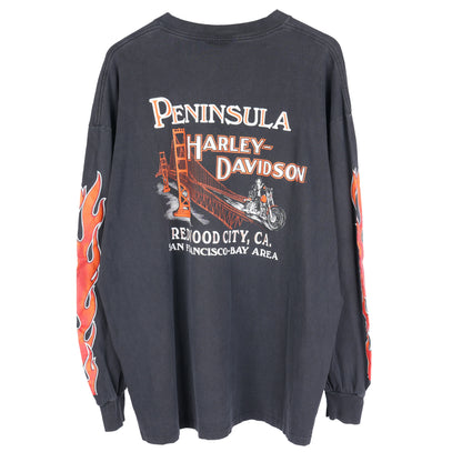 VINTAGE HARLEY DAVIDSON UNTAMED TIGER FLAME LONG SLEEVE TEE