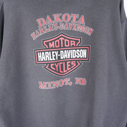 VINTAGE HARLEY-DAVIDSON FADED EAGLE LOGO FLAME HOODIE