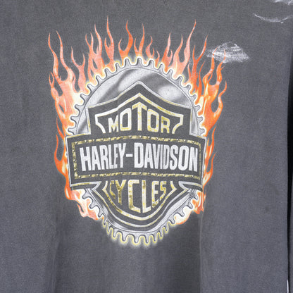 HARLEY DAVIDSON FLAME LONG SLEEVE T-SHIRT