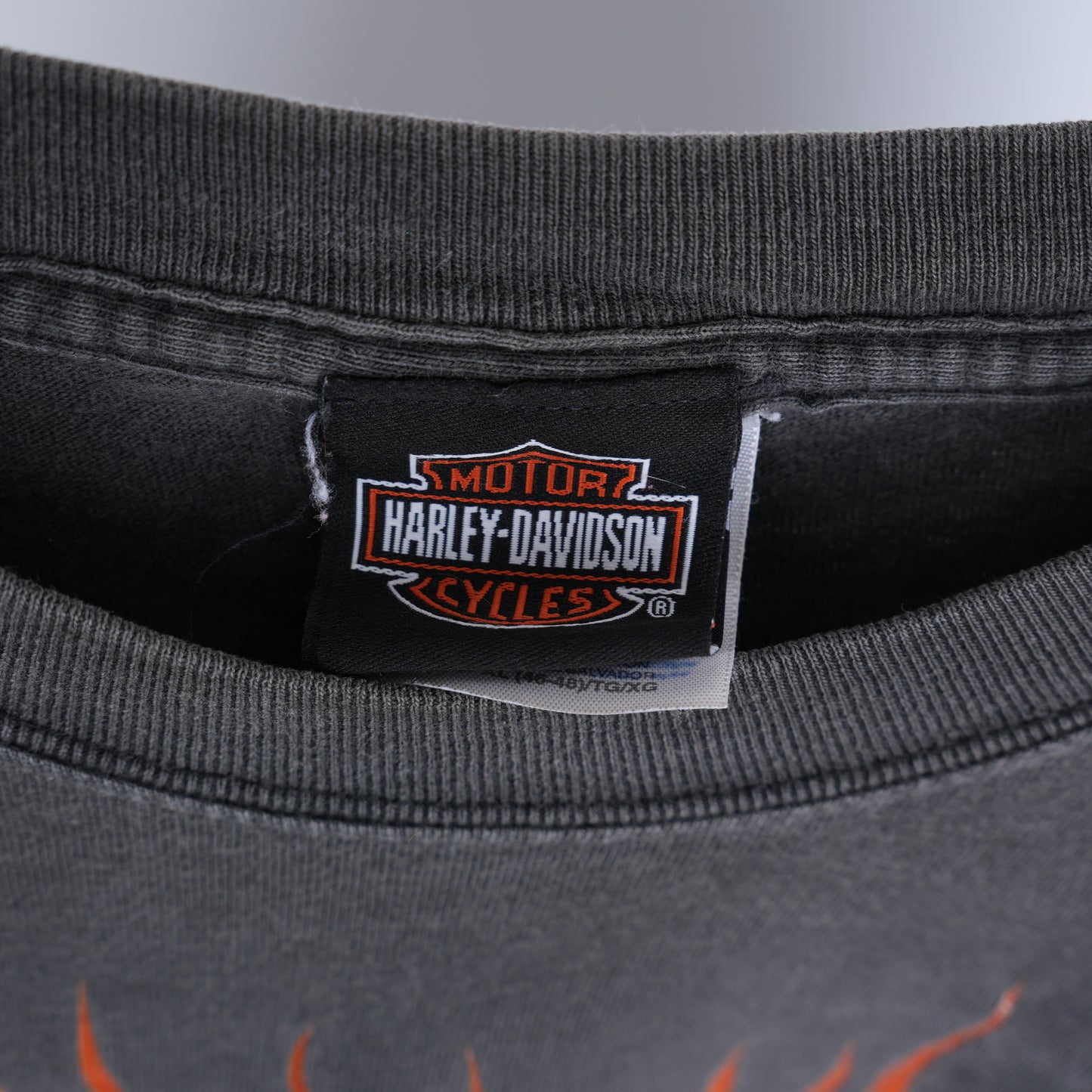 HARLEY DAVIDSON FLAME LONG SLEEVE T-SHIRT