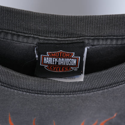 HARLEY DAVIDSON FLAME LONG SLEEVE T-SHIRT