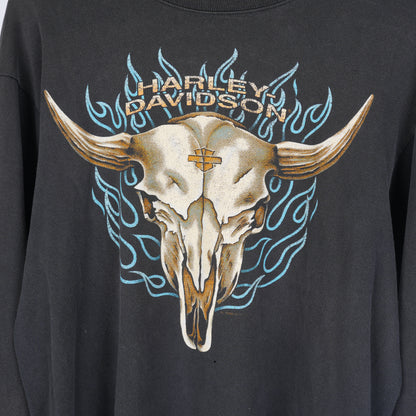 VINTAGE SKULL BLUE FLAME LONG SLEEVE T SHIRT HARLEY DAVIDSON