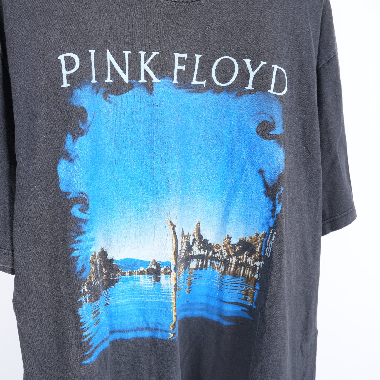VINTAGE PINK FLOYD WISH YOU WERE HERE TEE