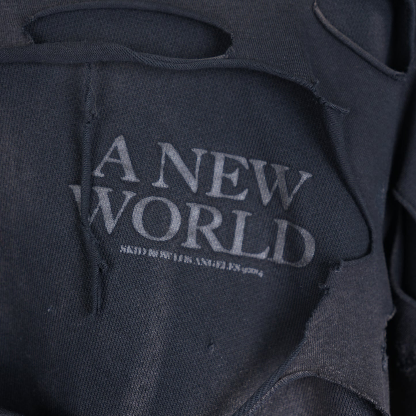ALEXANDER DIGENOVA A NEW WORLD HOODIE