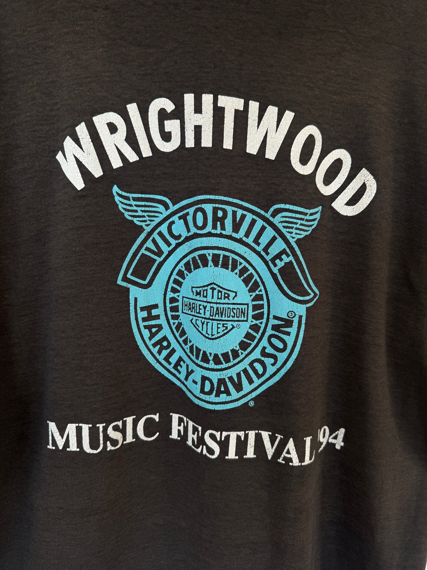 Wrightwood Music Festival 1994