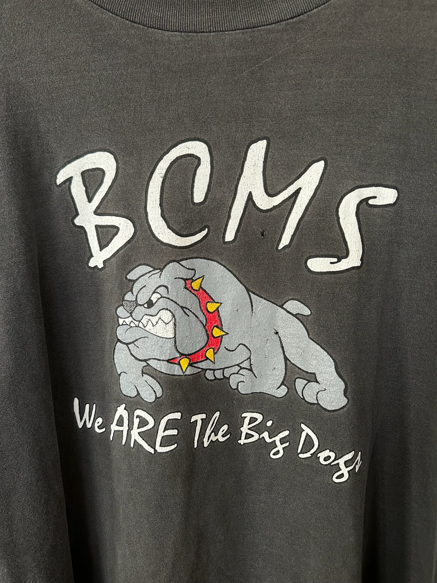 BCMS Big Dog