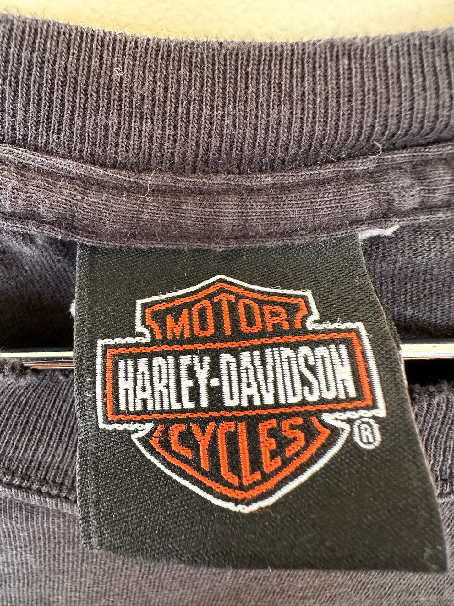 Aspen Valley Harley Tee