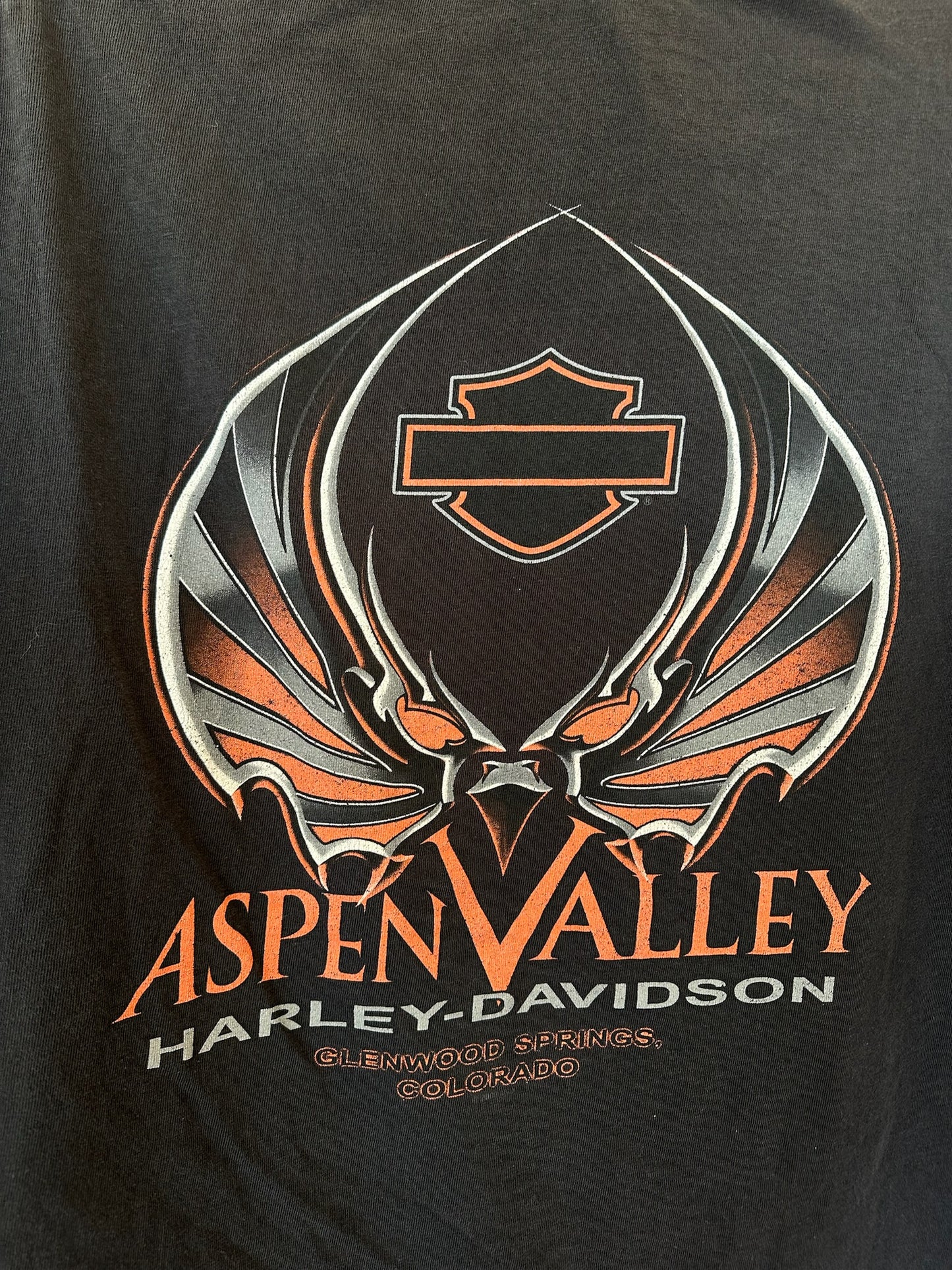 Aspen Valley Harley Tee