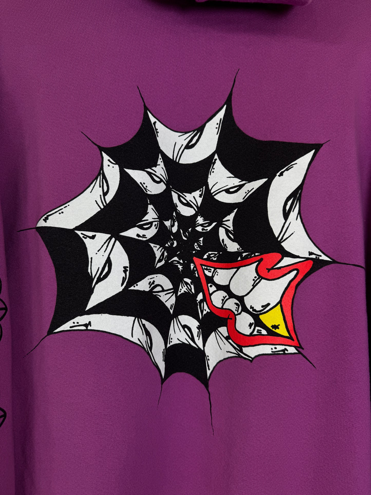 CH Matty Boy Spider Web Hoodie