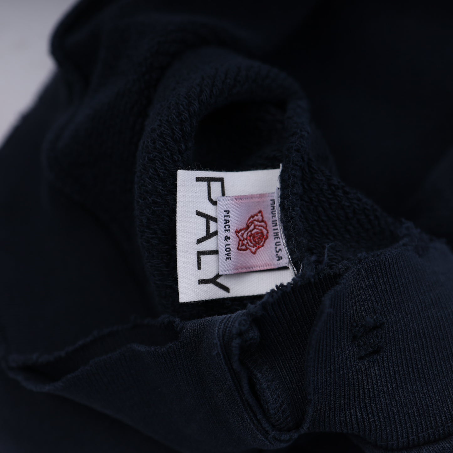 EL COYOTE HOODIE
