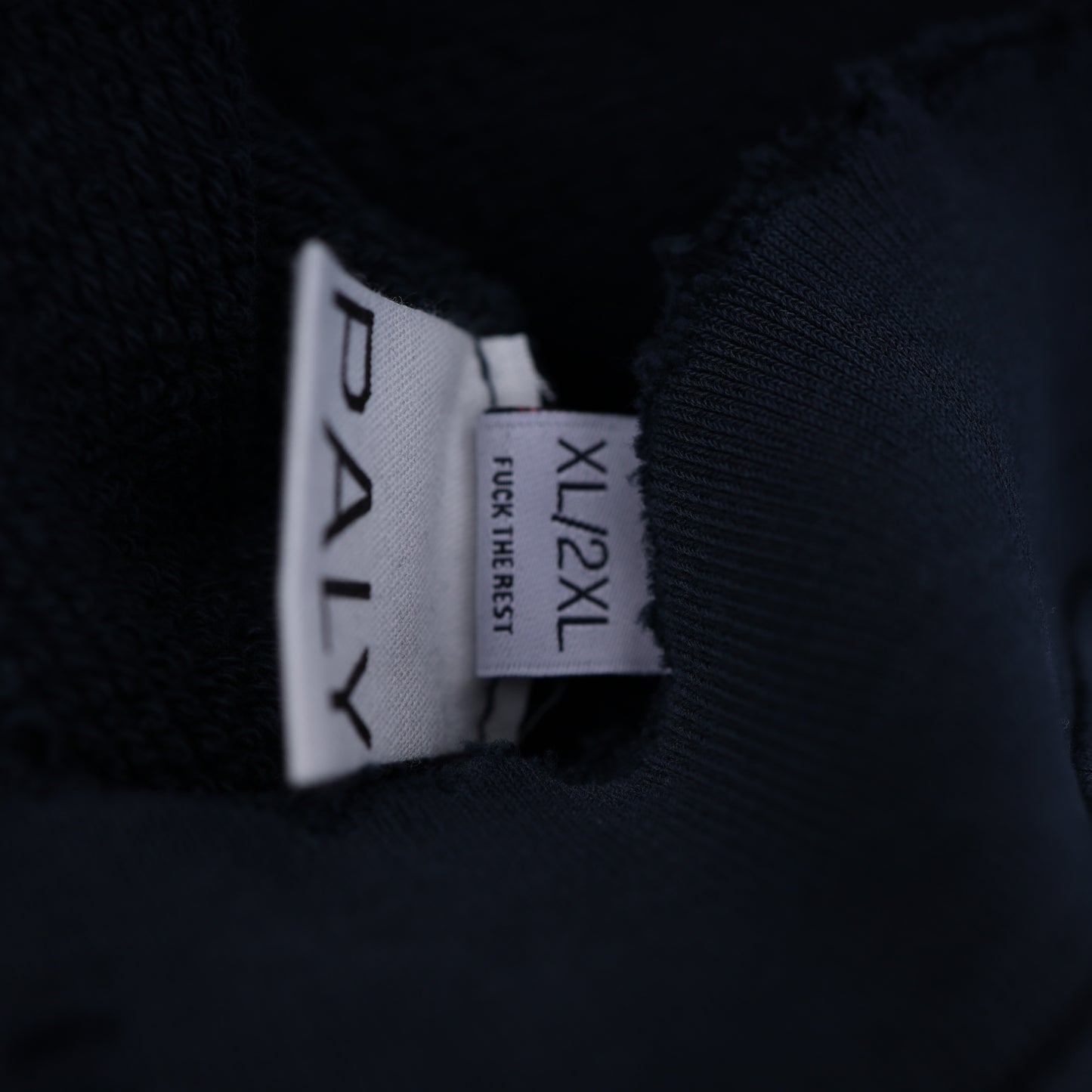 EL COYOTE HOODIE