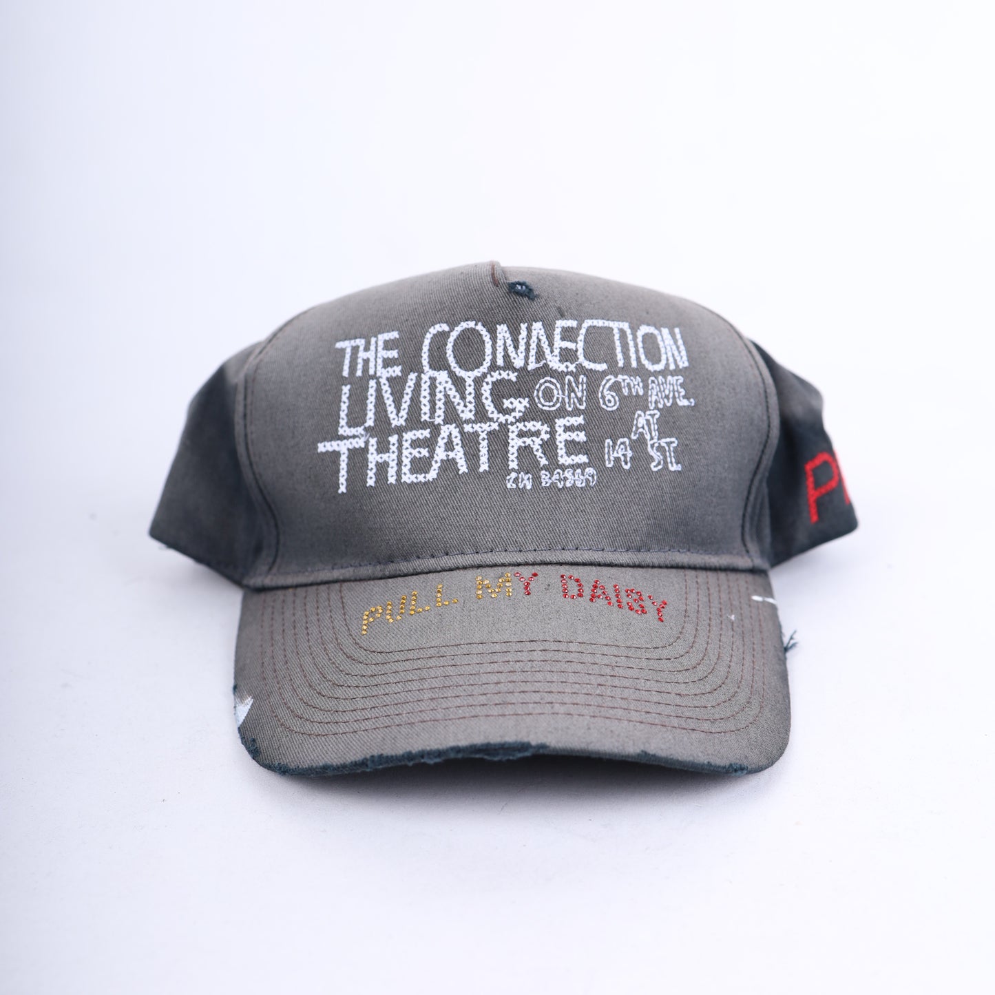 PALY HOLLYWOOD WEBSTER COLLAB HAT