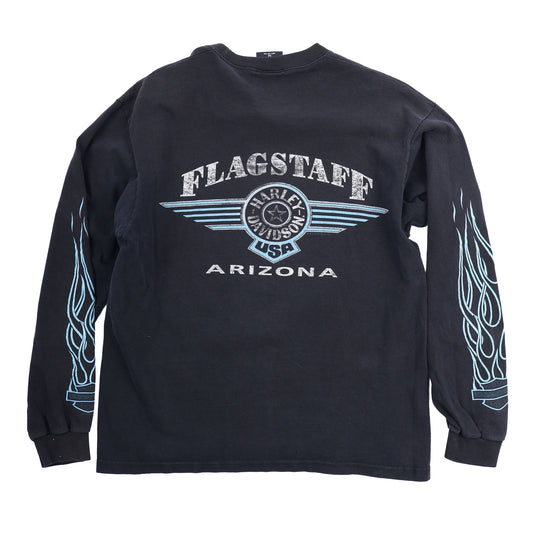 ARIZONA HARLEY DAVIDSON FLAME LONG SLEEVE