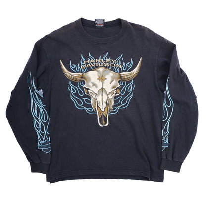 ARIZONA HARLEY DAVIDSON FLAME LONG SLEEVE