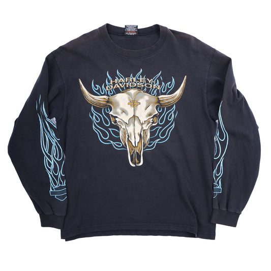 ARIZONA HARLEY DAVIDSON FLAME LONG SLEEVE