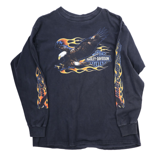 Harley Davidson Eagle LS Hawaii