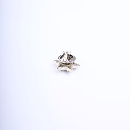 CHROME HEARTS STAR PIN