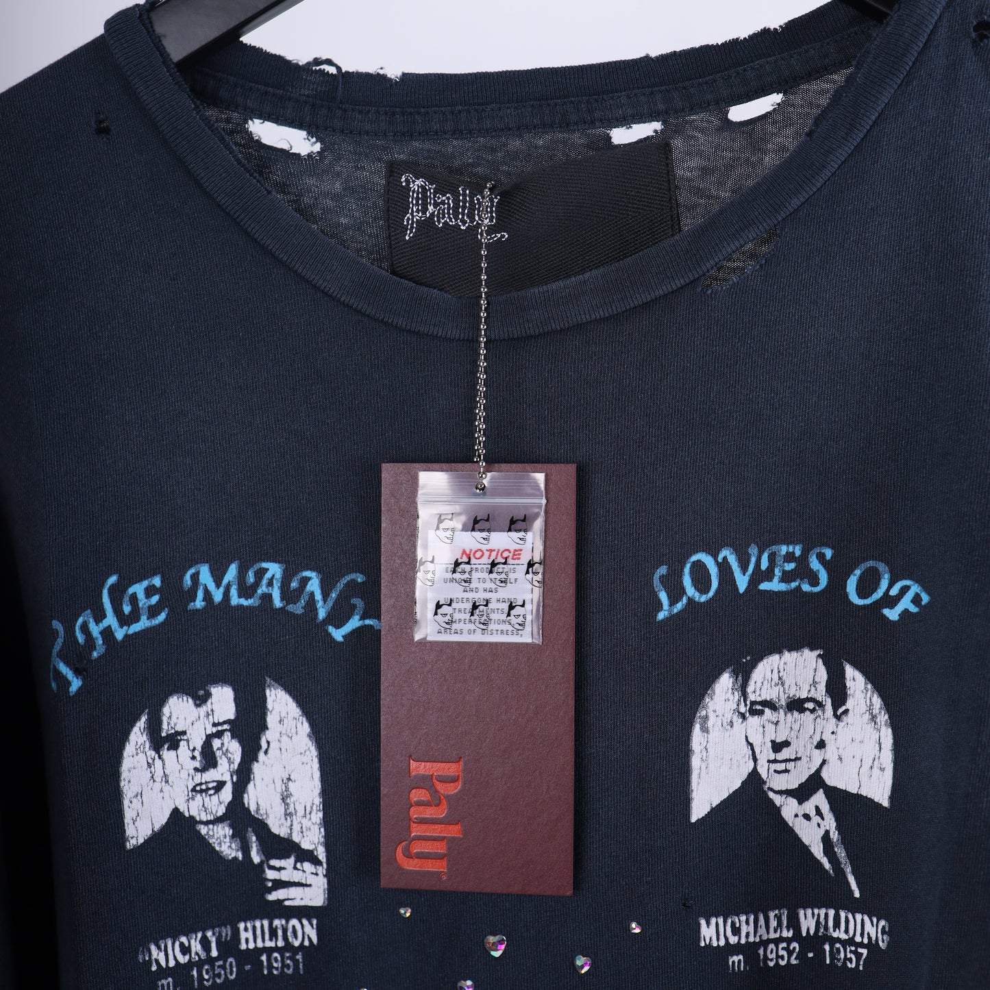 THE MANY LOVES OF LIZ T-SHIRT