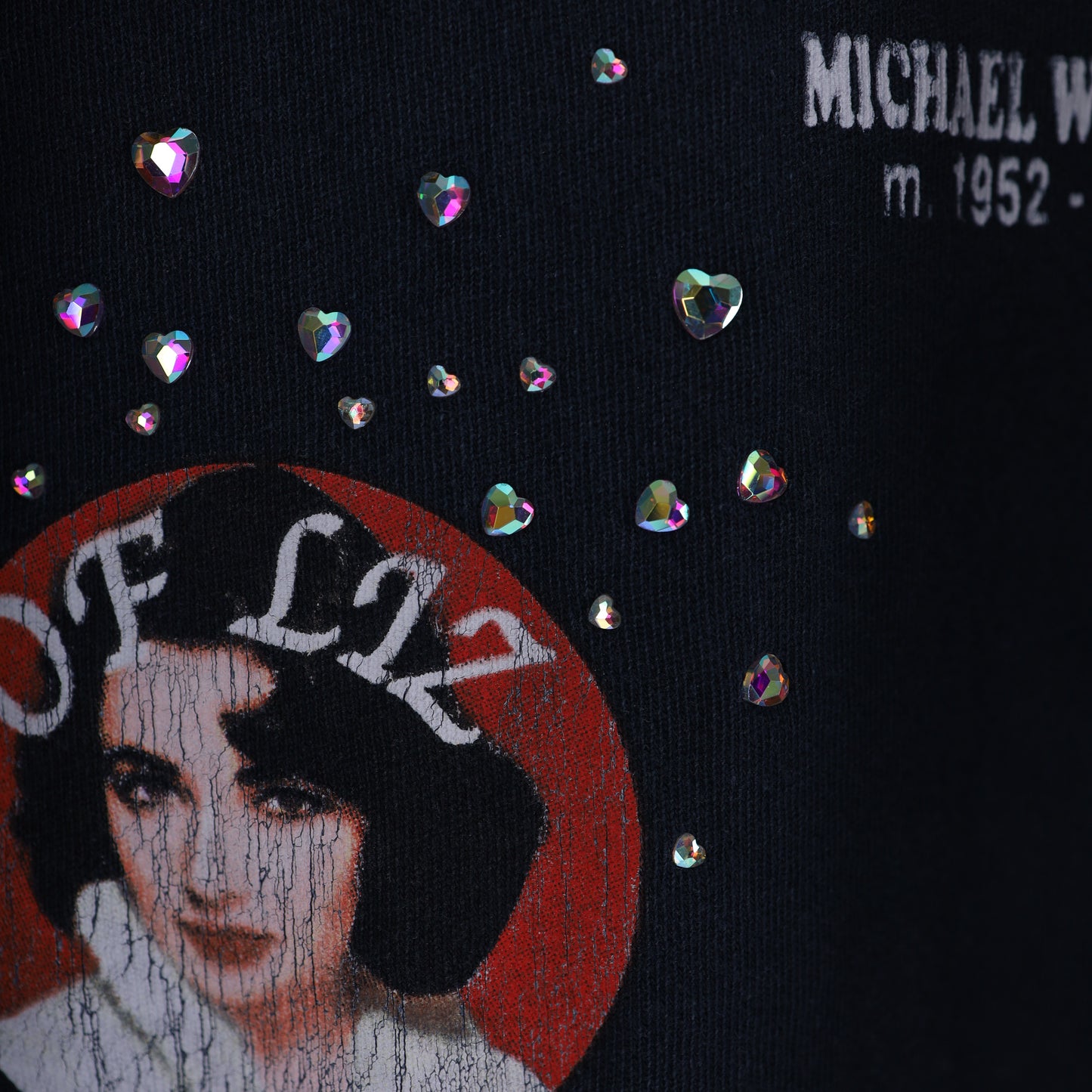 THE MANY LOVES OF LIZ T-SHIRT