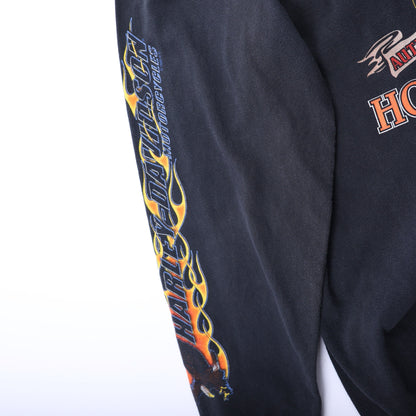 Harley Davidson Eagle LS Hawaii