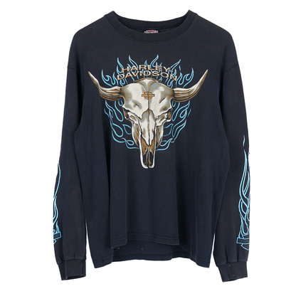 ARIZONA HARLEY DAVIDSON FLAME LONG SLEEVE