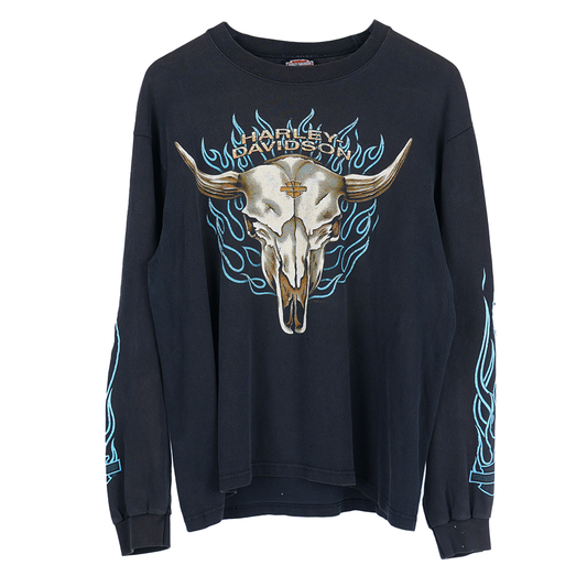 ARIZONA HARLEY DAVIDSON FLAME LONG SLEEVE