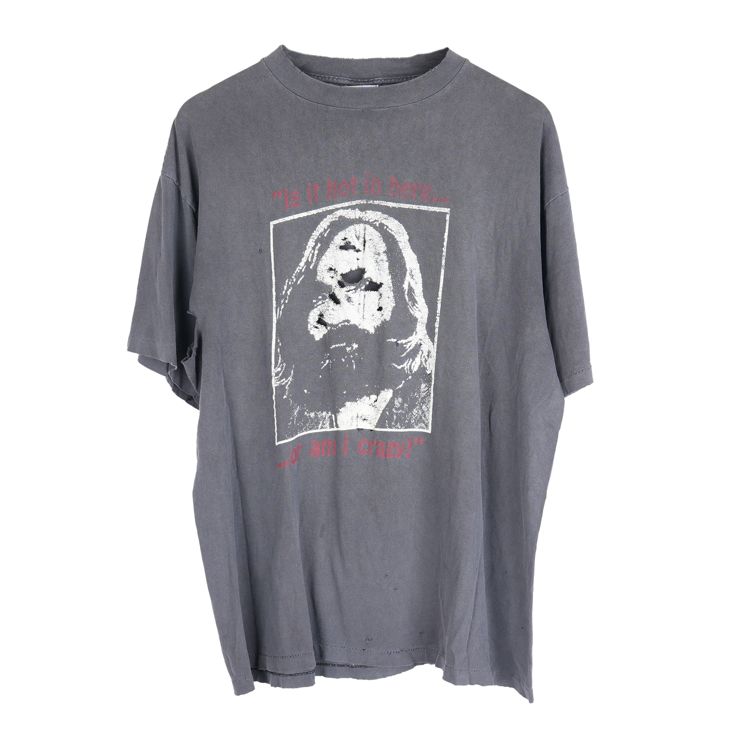 VINTAGE CHARLES MANSON IS IT HOT IN HERE OR AM I CRAZY TEE