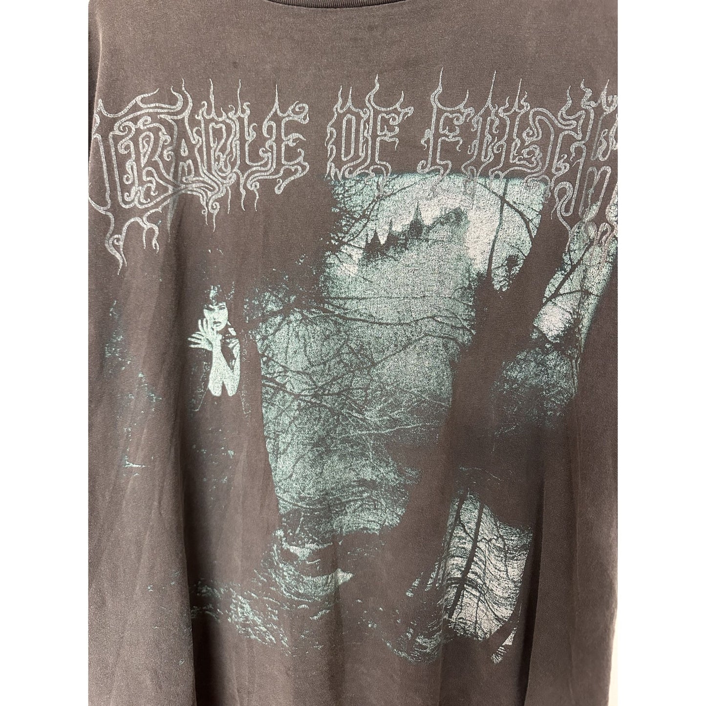 VINTAGE CRADLE OF FILTH FADED GREY BAND TEE