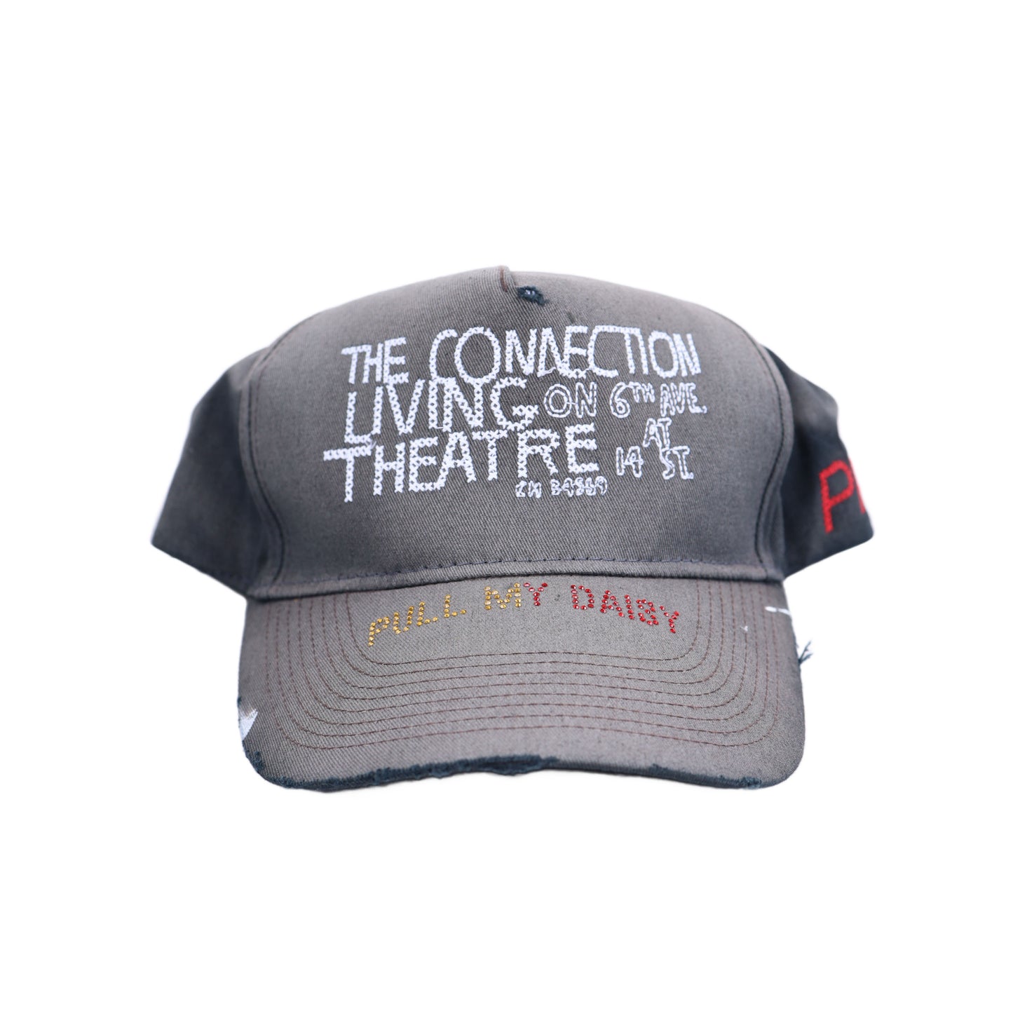 PALY HOLLYWOOD WEBSTER COLLAB HAT