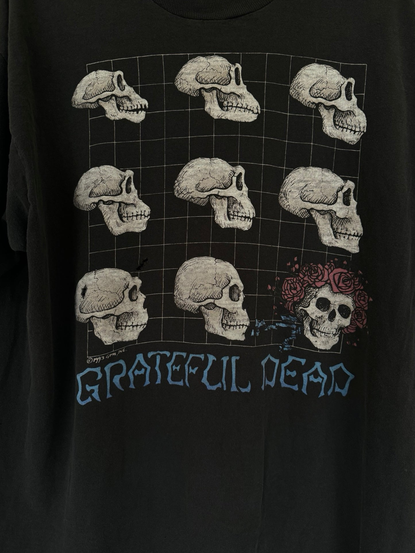 Grateful Dead Strange Trip 1993